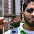 عبدالرحمن عز
